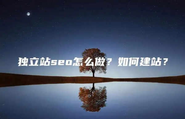 獨立站seo6個月會有什么效果？獨立站老板必看攻略