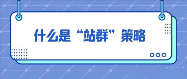 詳解：站群和獨立站的區別！