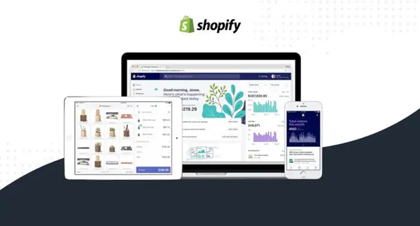 Shopify付費(fèi)流量和免費(fèi)流量的優(yōu)缺點對比