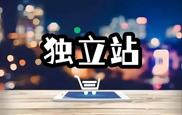 獨(dú)立站訪(fǎng)客100算高嗎？獨(dú)立站訪(fǎng)客多少算可以？